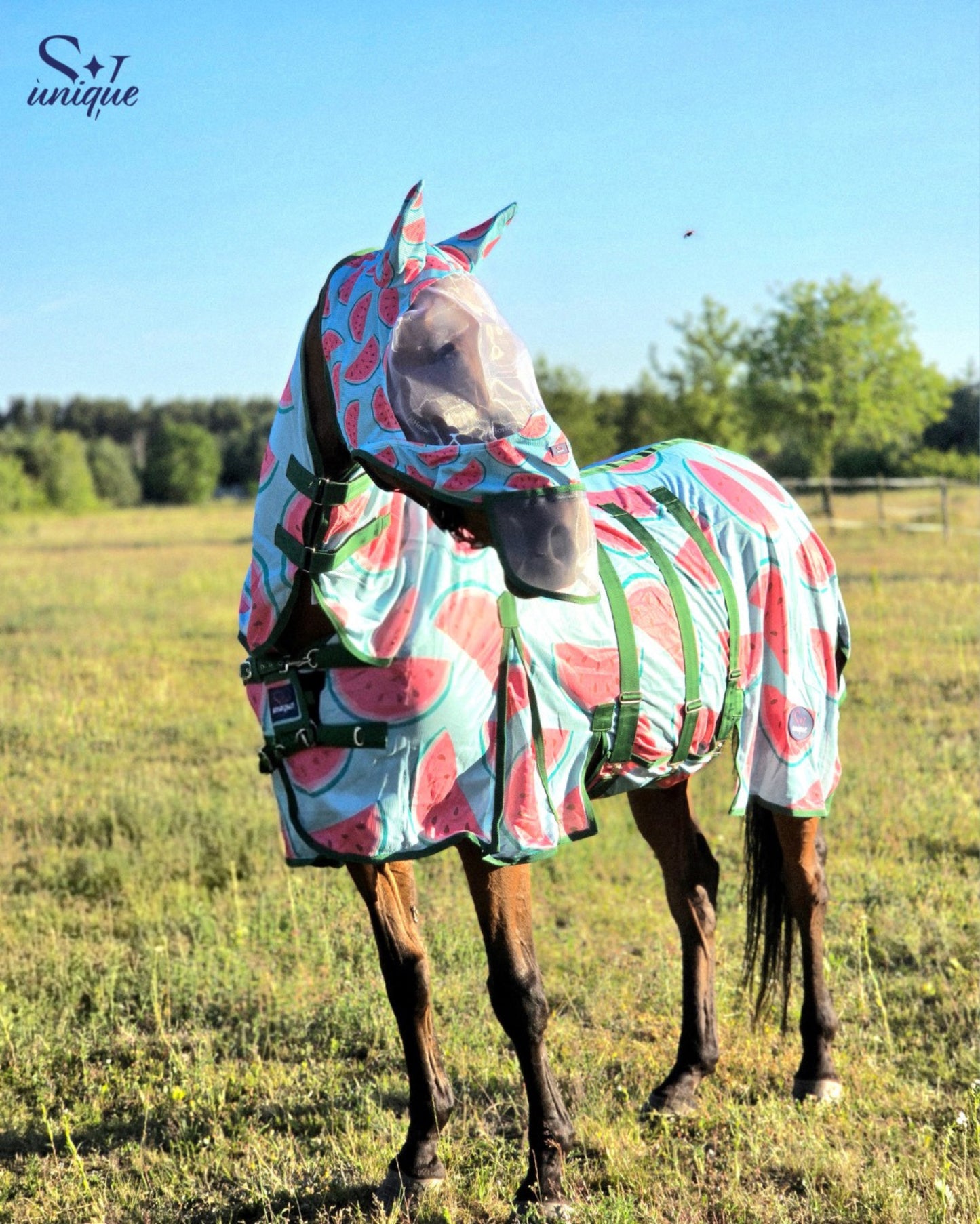 Fliegendecke mit Halsteil Watermelon Savio Equestrian