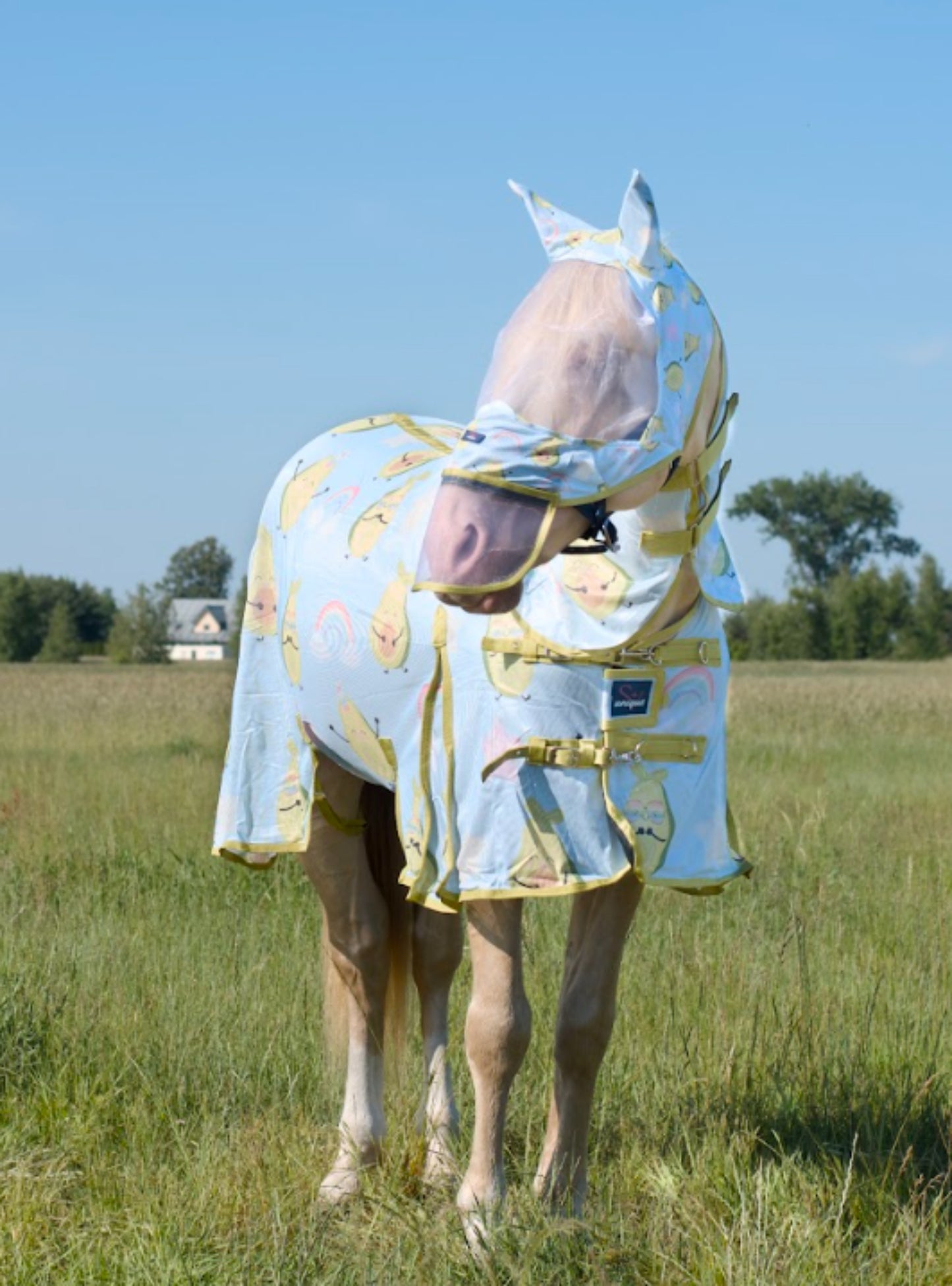 Derka Siatkowa z Kapturem Rainbow Avocado Savio Equestrian