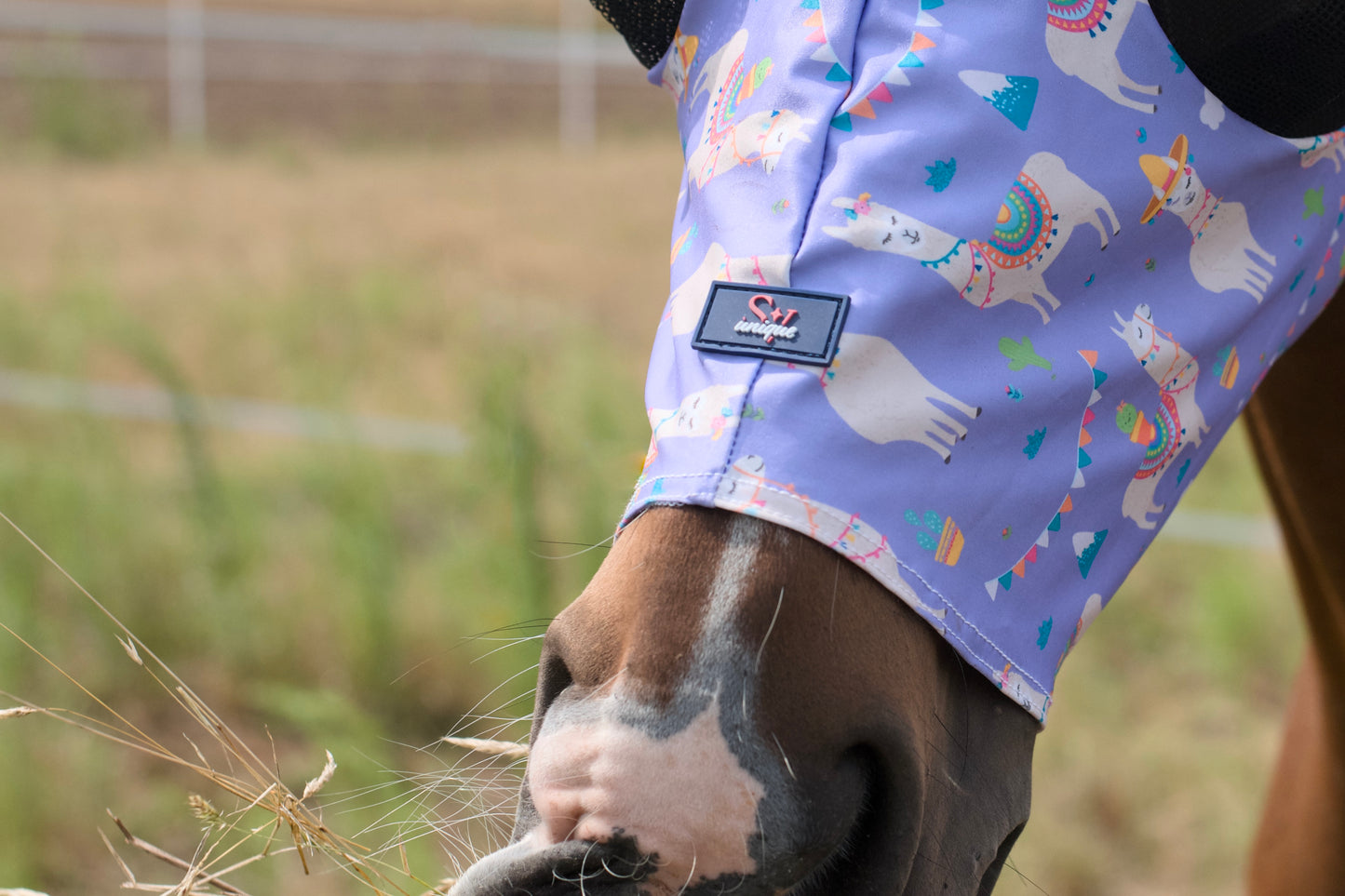 Maska Lycra Purple Llama Savio Equestrian