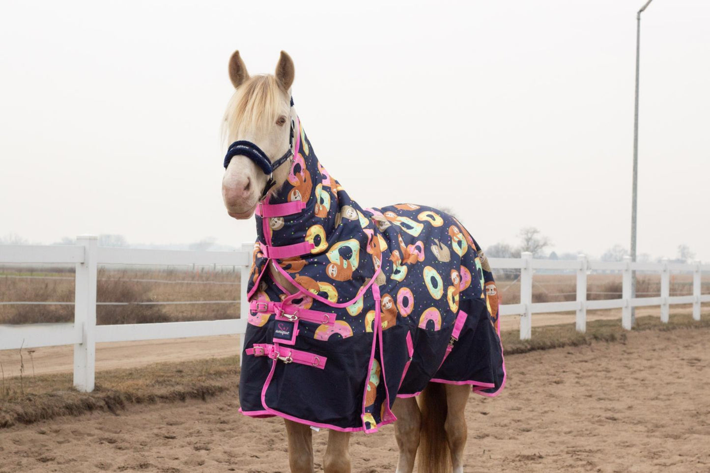 Turnout Rug 150 g  Donuts Sloths Savio Equestrian