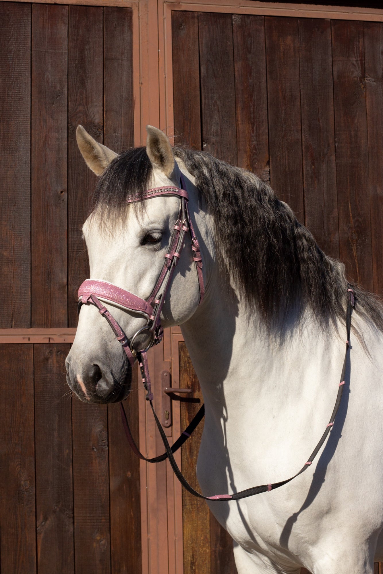 Brokatowe Ogłowie Glitter Pink Savio Equestrian