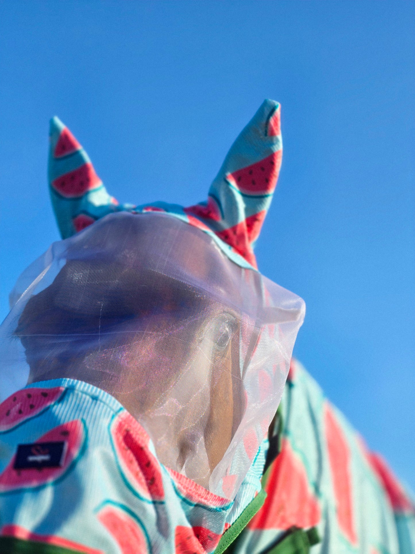 Fliegenmaske Watermelon Savio Equestrian