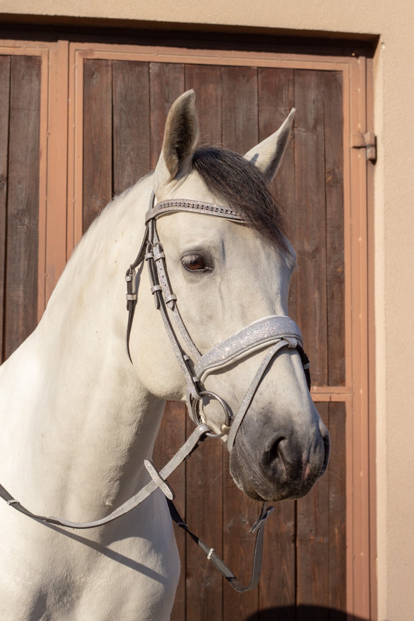 Brokatowe Ogłowie Glitter Silver Savio Equestrian