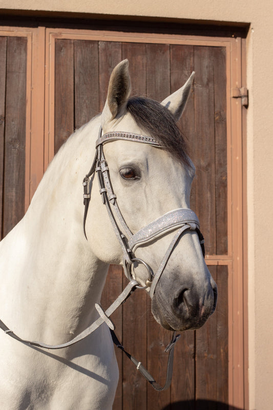 Brokatowe Ogłowie Glitter Silver Savio Equestrian