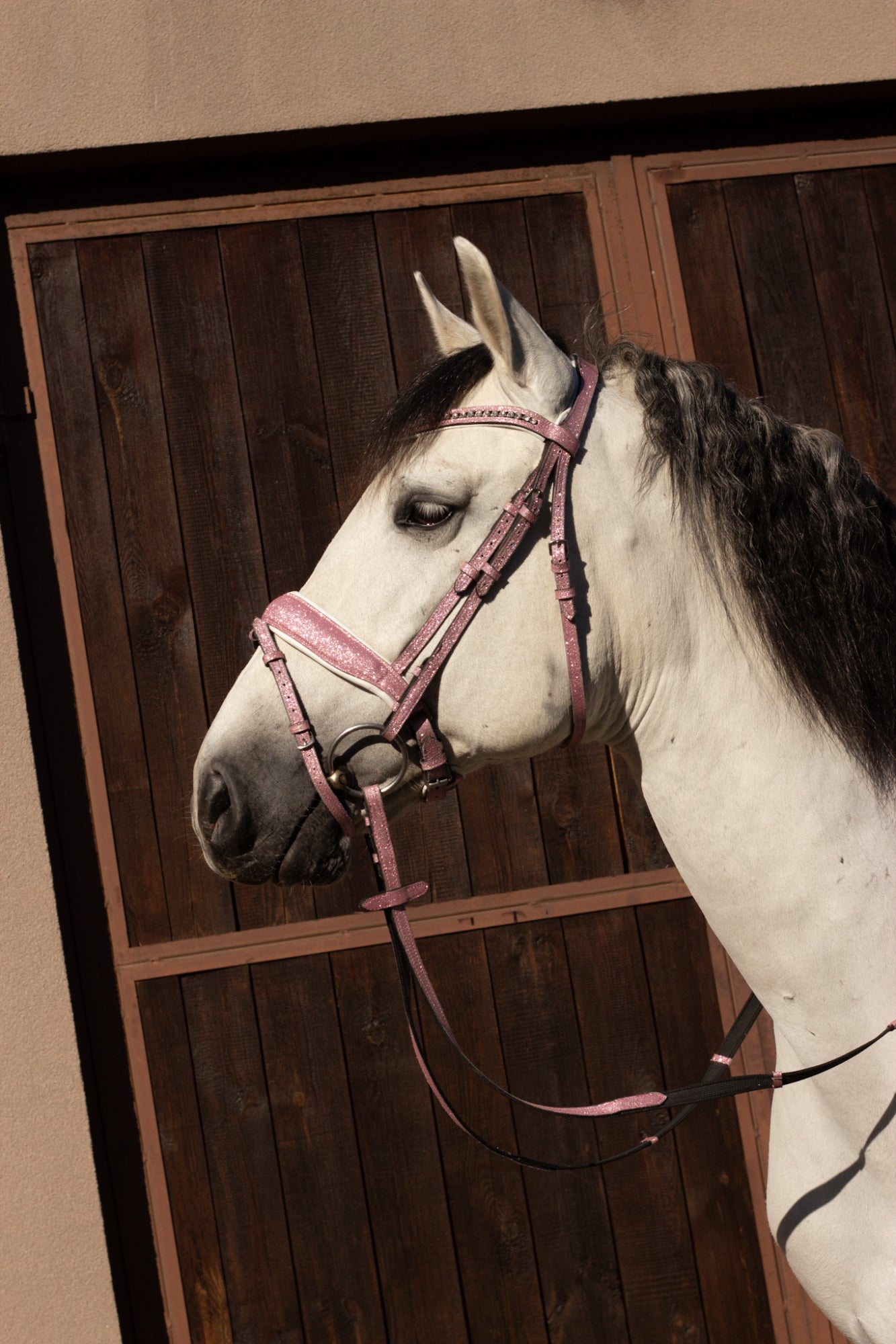 Brokatowe Ogłowie Glitter Pink Savio Equestrian