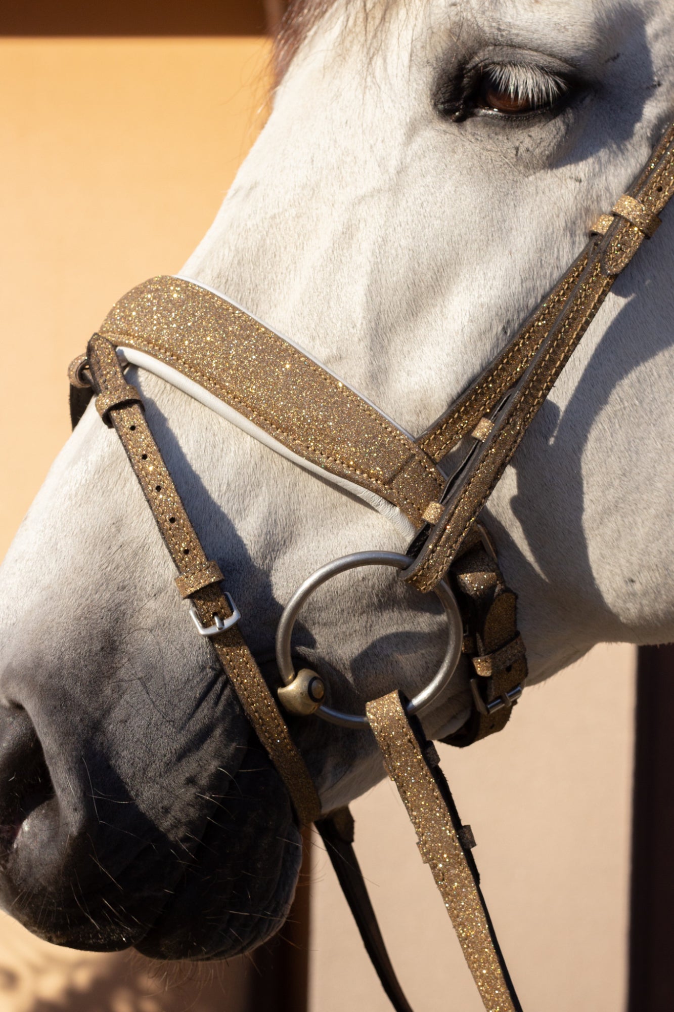 Brokatowe Ogłowie Glitter Gold Savio Equestrian