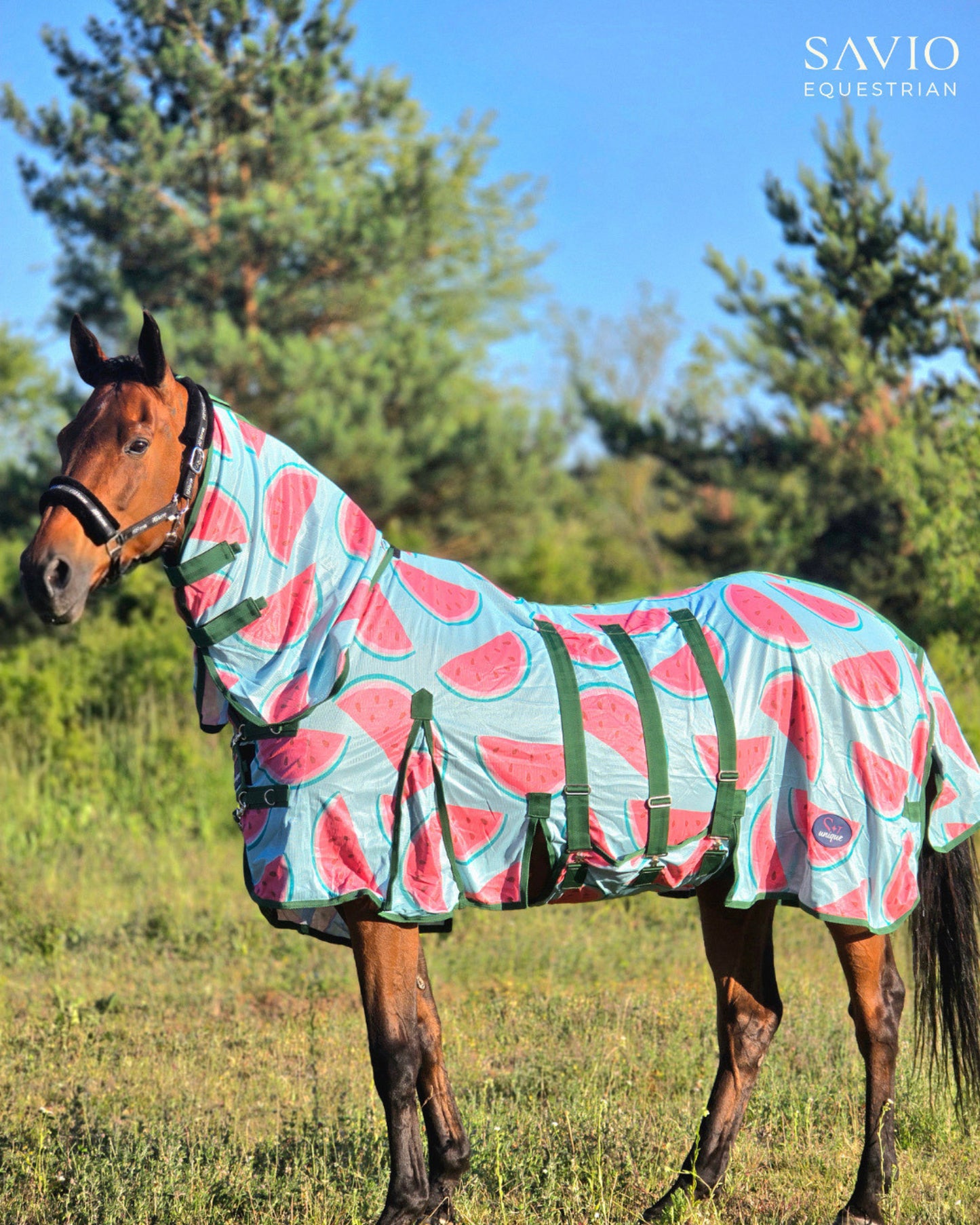 Fliegendecke mit Halsteil Watermelon Savio Equestrian