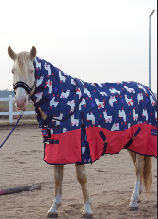Derka Padokowa 150 g Happy Lamas Savio Equestrian
