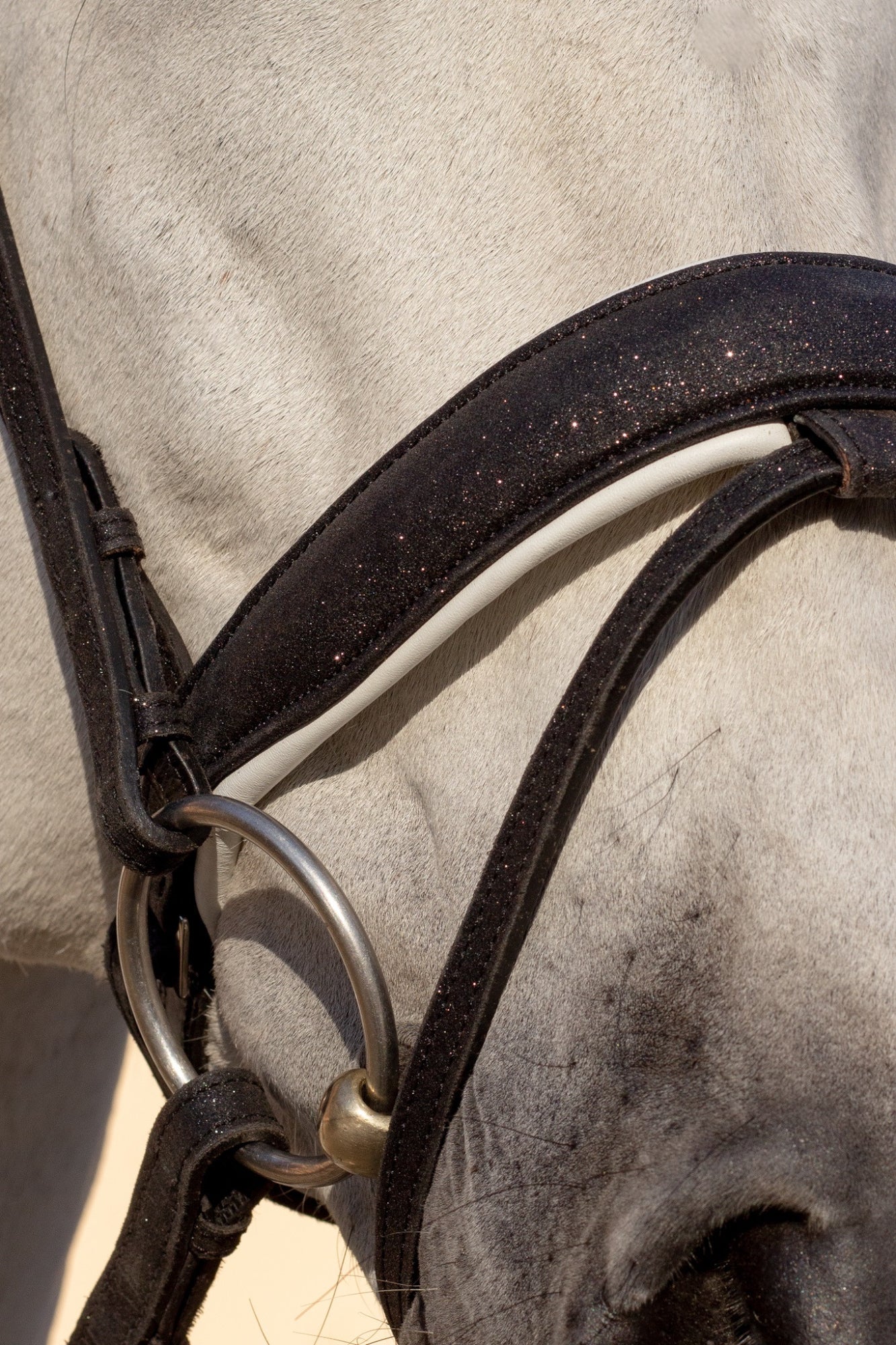 Brokatowe Ogłowie Glitter Black Savio Equestrian