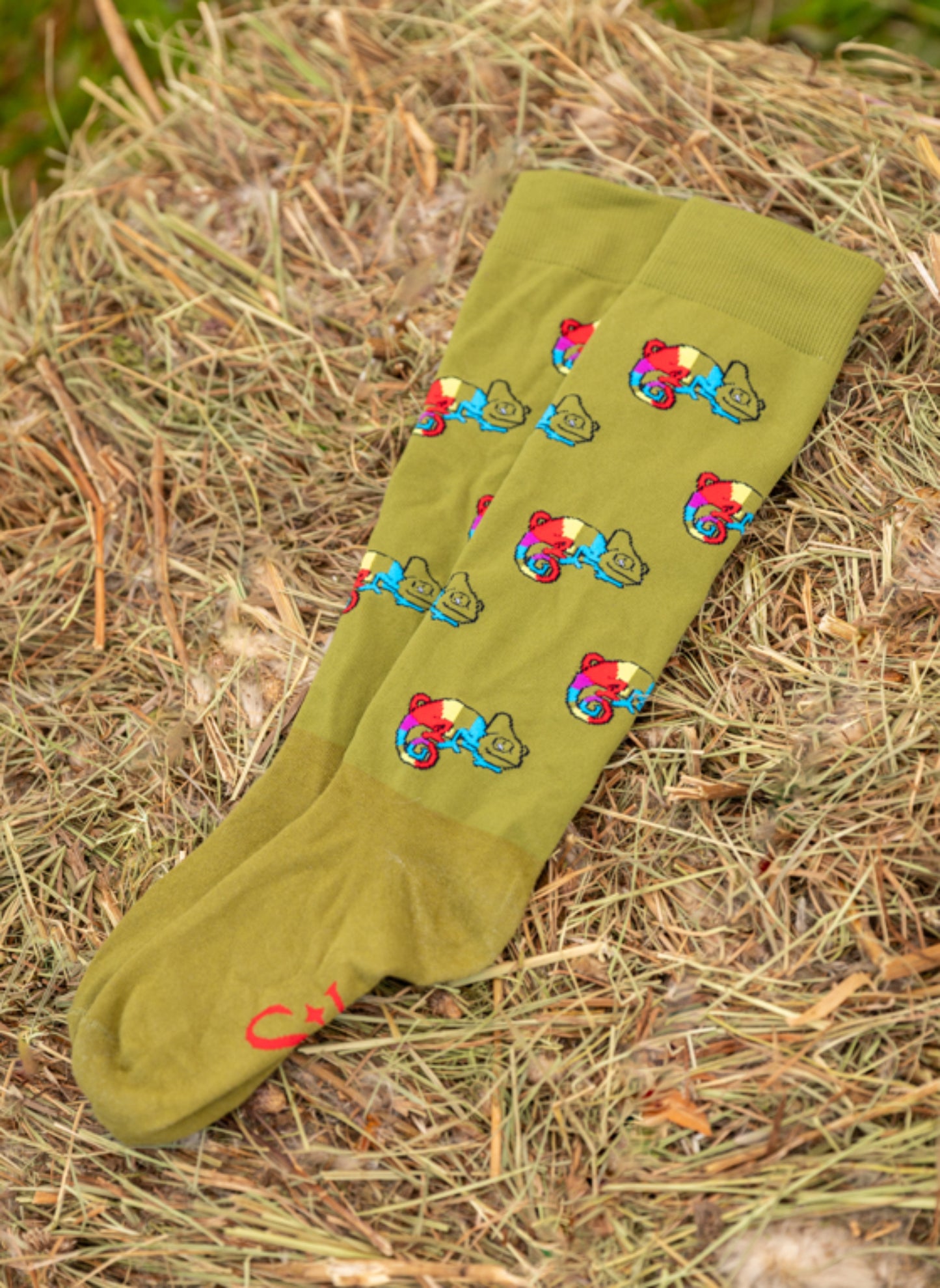 Podkolanówki Jeździeckie Chameleon Savio Equestrian
