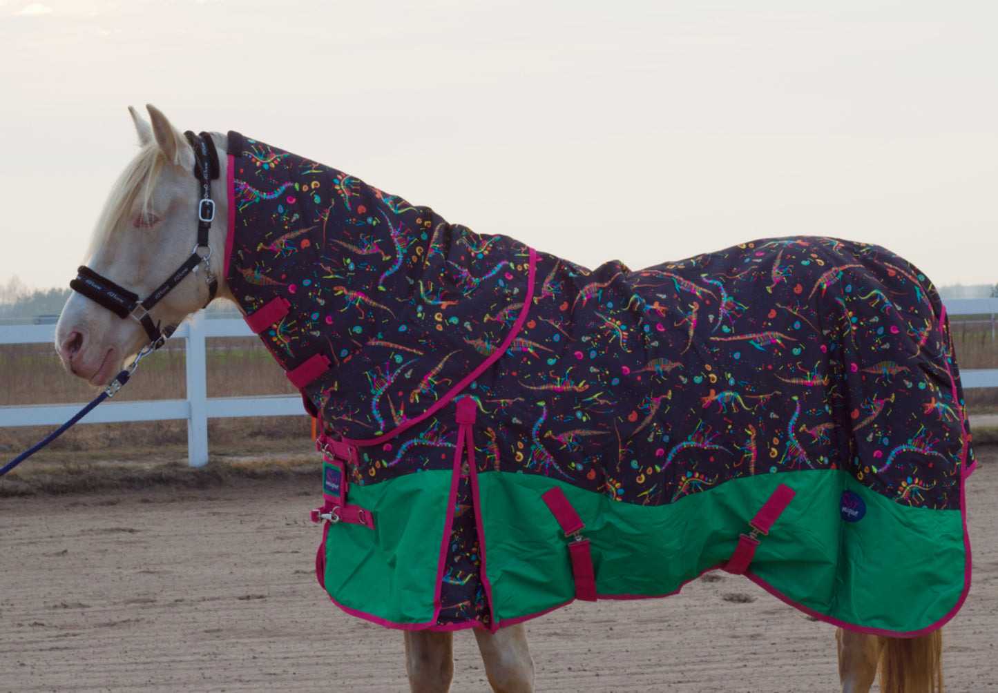 Derka Padokowa 150g Galaxy Dinos Savio Equestrian