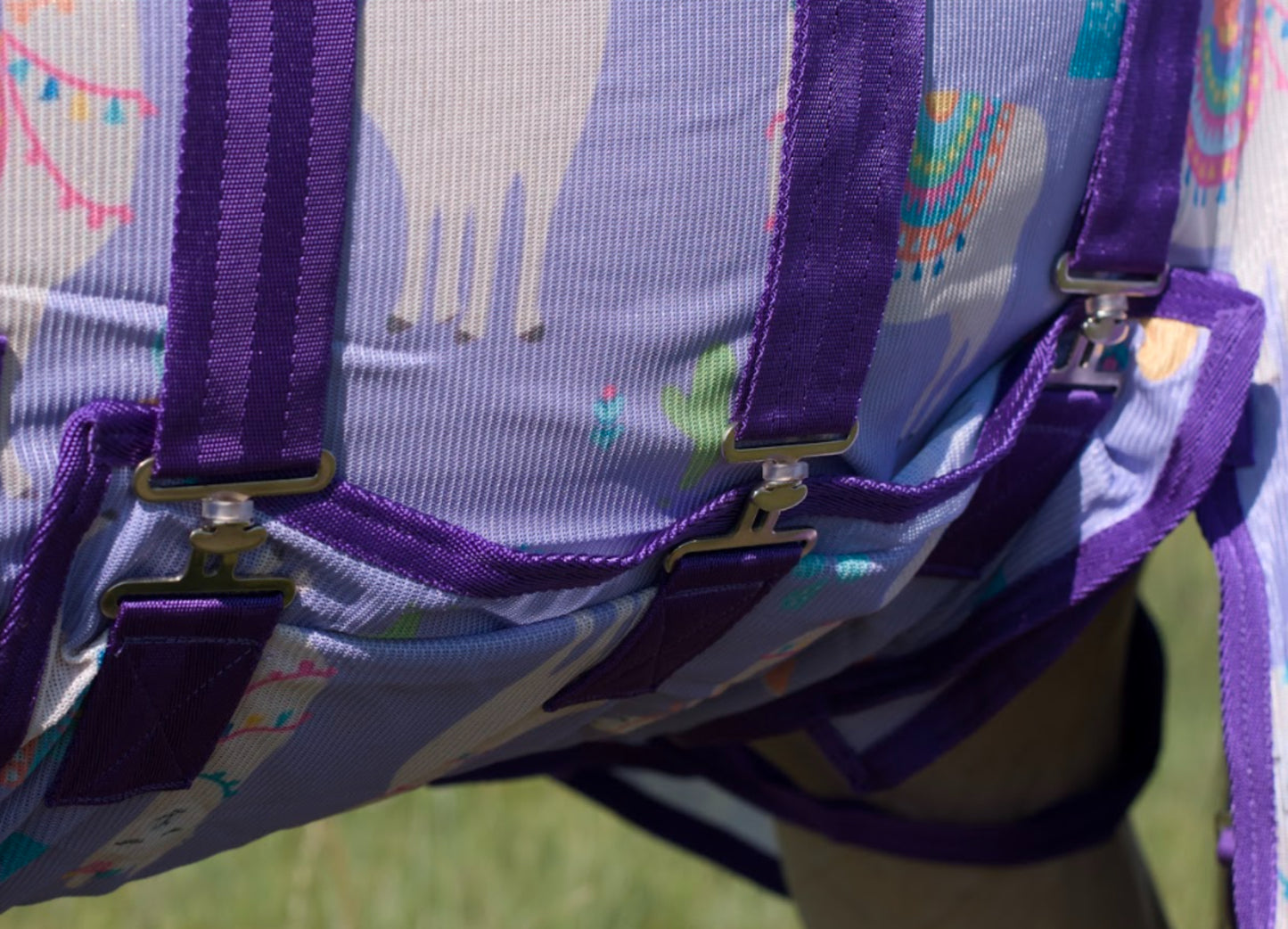 Derka Siatkowa z Kapturem Purple Llama Savio Equestrian