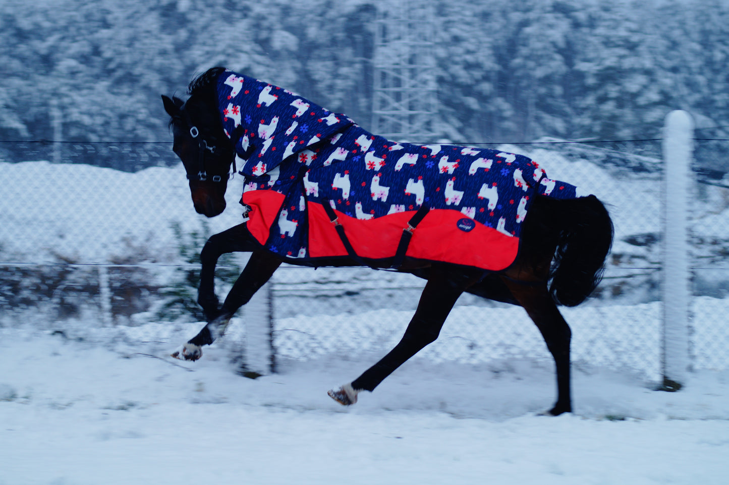 Derka Padokowa 150 g Happy Lamas Savio Equestrian