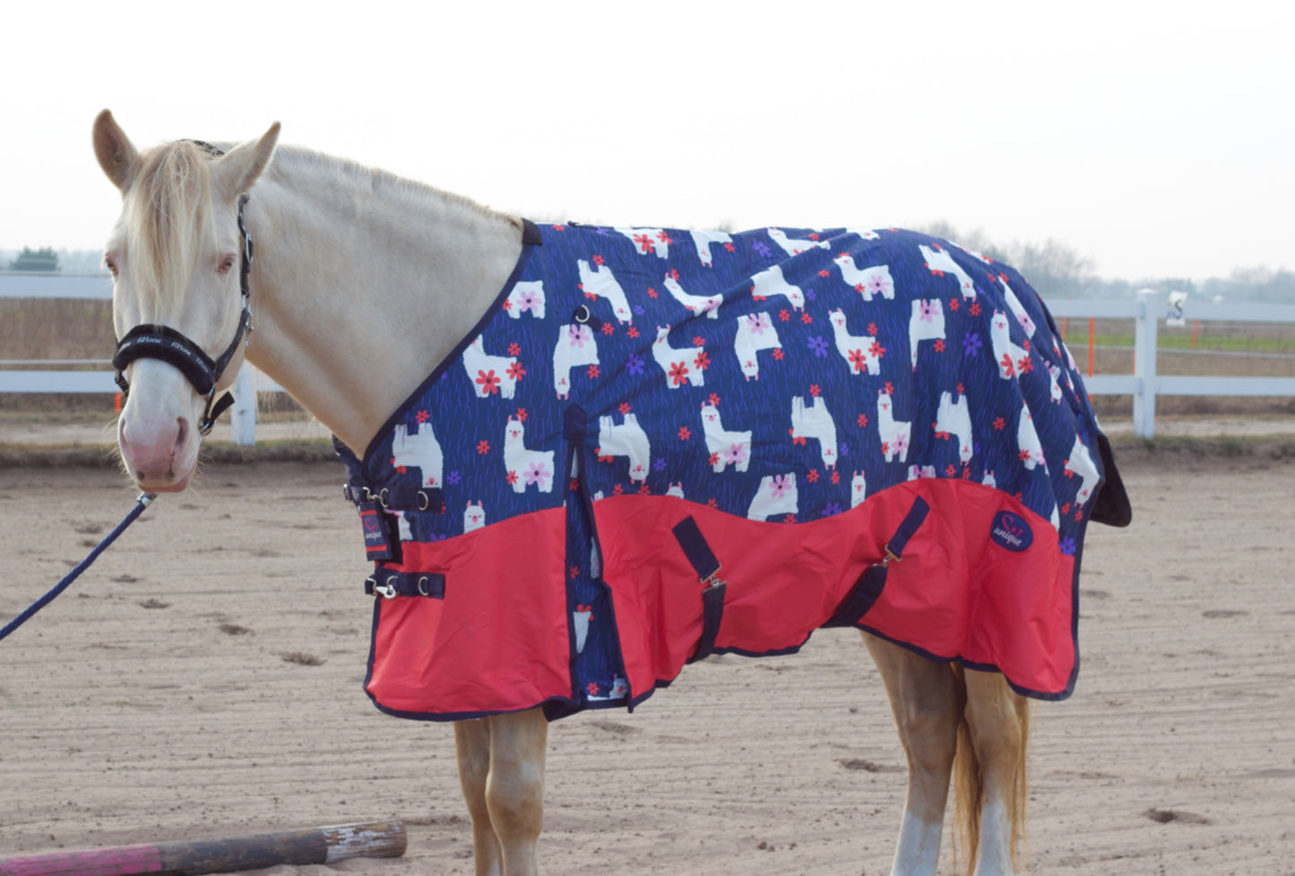 Derka Padokowa 150 g Happy Lamas Savio Equestrian