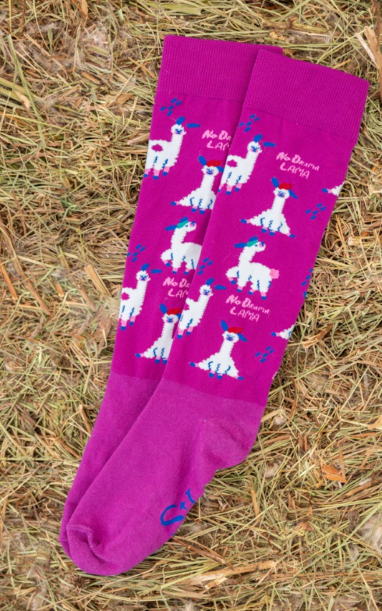 Podkolanówki Jeździeckie No Drama Lama Savio Equestrian