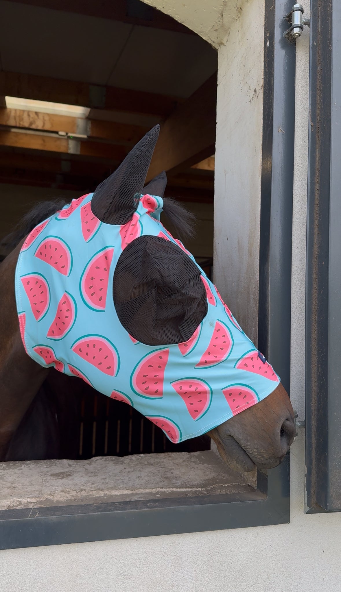 Masque Savio Equestrian Pastèque en Lycra