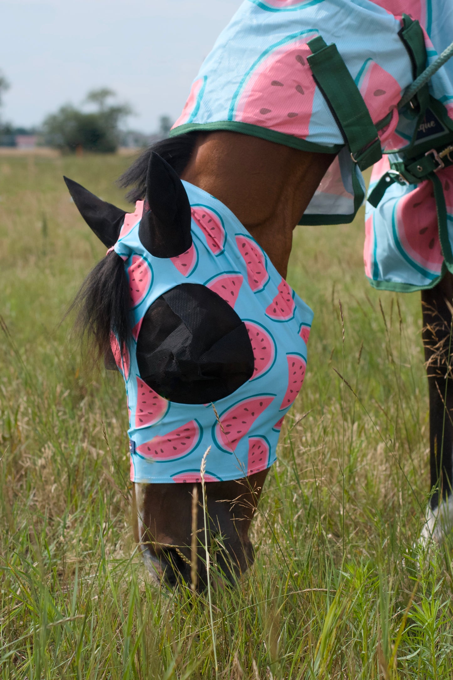 Masque Savio Equestrian Pastèque en Lycra