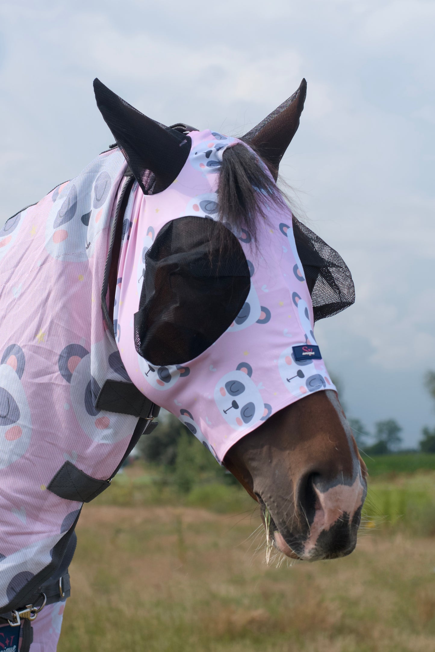 Masque équestre Savio panda rose en lycra