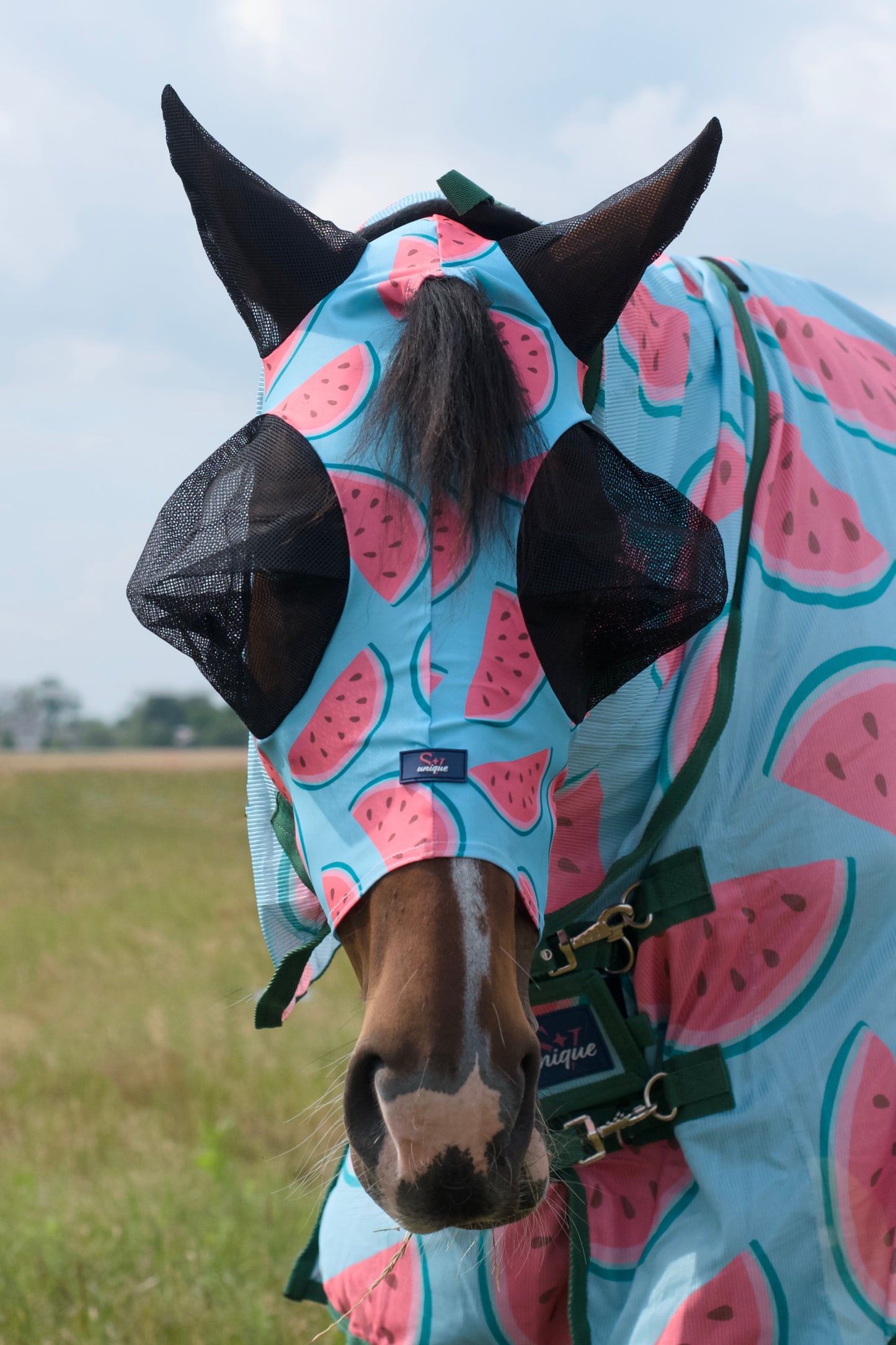 Masque Savio Equestrian Pastèque en Lycra